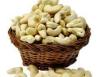 Quality Poland Raw Cashew Nuts