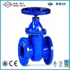 BS5163/BS5150 Cast Iron Gate Valve (Non Rising Stem)