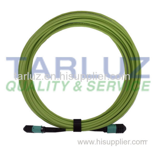 MPO MTP 24 Fiber Patch Cable Assembly OM5 lime green