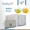 Industrial fruits drying machine fruits slice dryer chamber