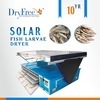 Green Energy Saving Wakame Dehydrator With Trays