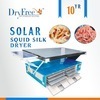 40W drying fruit dehydrator for apricot