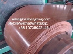 galvanized ppgi steel coils sheet