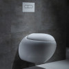 Chaozhou Round shape ceramic wall hung toilet with top quality