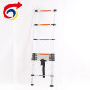 Beautiful Design Aluminum Alloy Telescopic Ladder