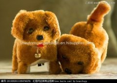 Custom Plush Dog Stuffed Animal Toy