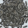 Chinese Sunflower Seeds for Export