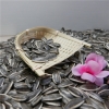 China Sunflower Seeds for Export