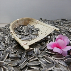 China Sunflower Seeds for Export