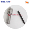 China factory fuel injection pump nozzle DLLA158P1385