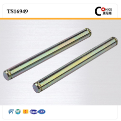 china suppliers non-standard customized design precision worm shaft