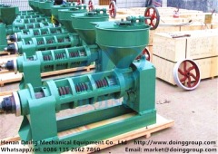 Small rapeseed oil press machine of Henan Doing Company