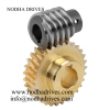Brass worm gear and worm