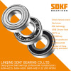 6205-2RS-ZZ Radial Bearing 25x52x15 Shielded Seal Ball Bearings SDKF Brand