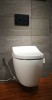 Wall Mounted One Piece Rimless Siphon automatic warm wash Intelligent Toilet