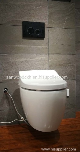 Wall Mounted One Piece Rimless Siphon automatic warm wash Intelligent Toilet