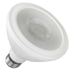 LED PAR30 bulb 10W COB