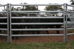 Livestock Fence mesh Product