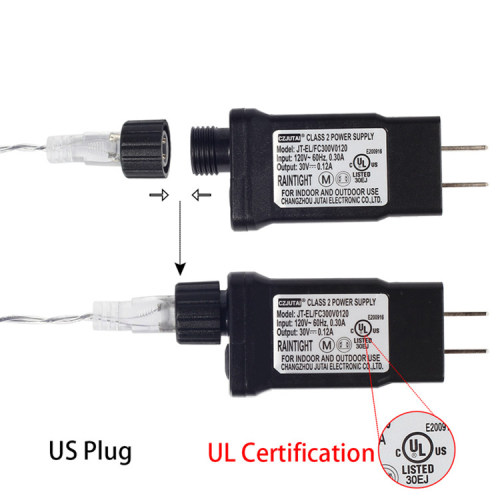 LED Christmas Light with EU USA AU plug