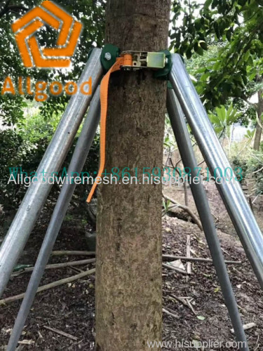 metal Tree brace system holds trees firm