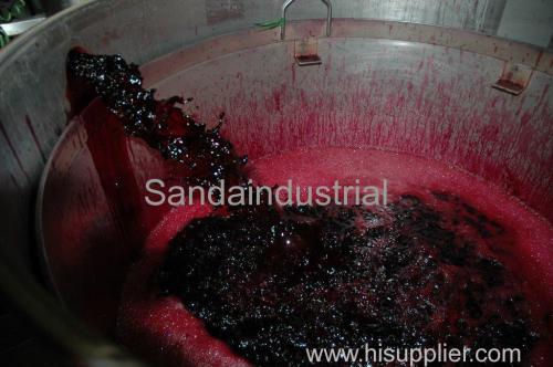 Anthocyanin Extract Technology and Equipment
