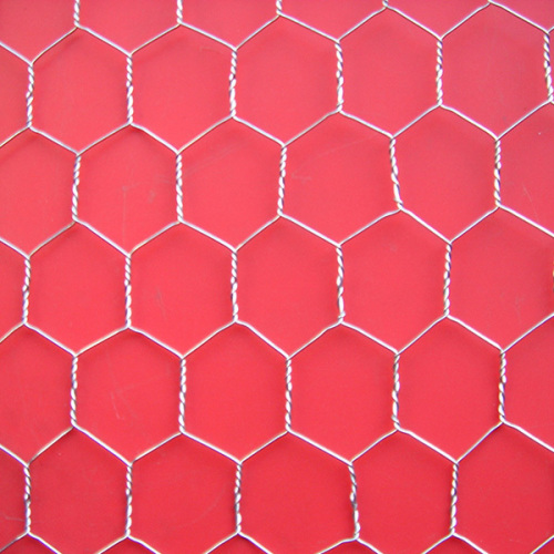 High quality Hexagonal Wire Netting