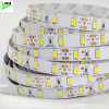 60LEDs/m SMD5730 led strip light