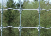 Frairie Farm Field Fence