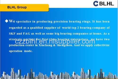Professional BS5001923P.02 bearing ring manufacturer 