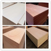 Commercial Plywood  contact me daisy at woodbm dot com