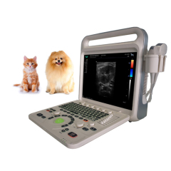 15 inch Portable Pregnancy 4D Color Doppler Ultrasound Machine For VET