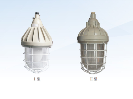 B. D5 series explosion-proof lamps