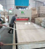 Wood Board Jointer Press Machine (Belt Conveyor)