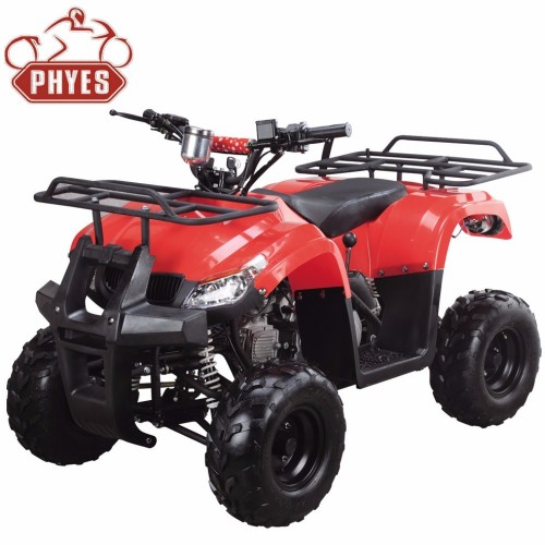 phyes atv 150cc engine with atv speedometer