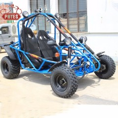 phyes 150cc 200cc go kart 2 seat dune buggy 200CC