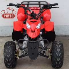 110cc chinese atv and 110cc atv seller