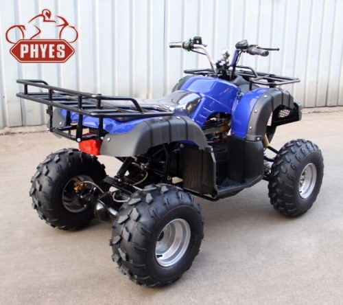 PHYES 4-wheel drive 4000w 60v adult electric atv