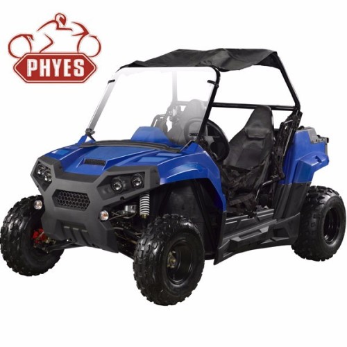 phyes 250cc China utv for sale