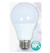 DIMMABLE 12W LED BULB RA>80