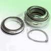 FLYGT 2400 Pump Seals