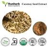 Caraway Seed Extract powder