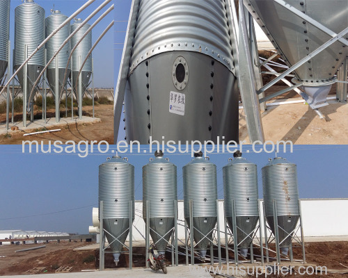 High quality automatic pig farm design floor feeding system equipment