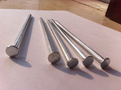 Polished Common Iron Nail