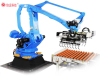 Palletizing Robot stacking robot palletizer for bags and cartons