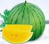 crystal yellow flesh watermelon seeds