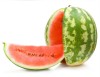 triploid hybrid f1 watermelon seeds