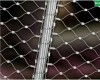 stainless steel cliped rope mesh zoo mesh