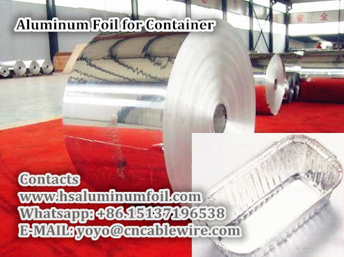 Aluminum Foil for Container