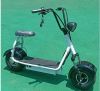 16 inch fat tire citycoco Foldable Electric Scooter
