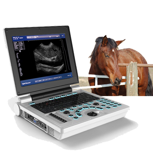 Veterinary laptop full digital ultrasound diagnostic;pet ultrasound machine